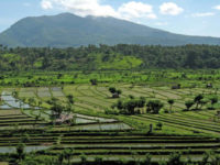 Rive Terrace Karangasem
